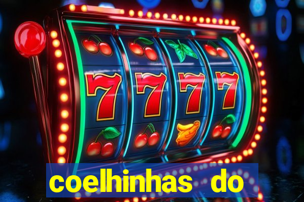 coelhinhas do brasil recife